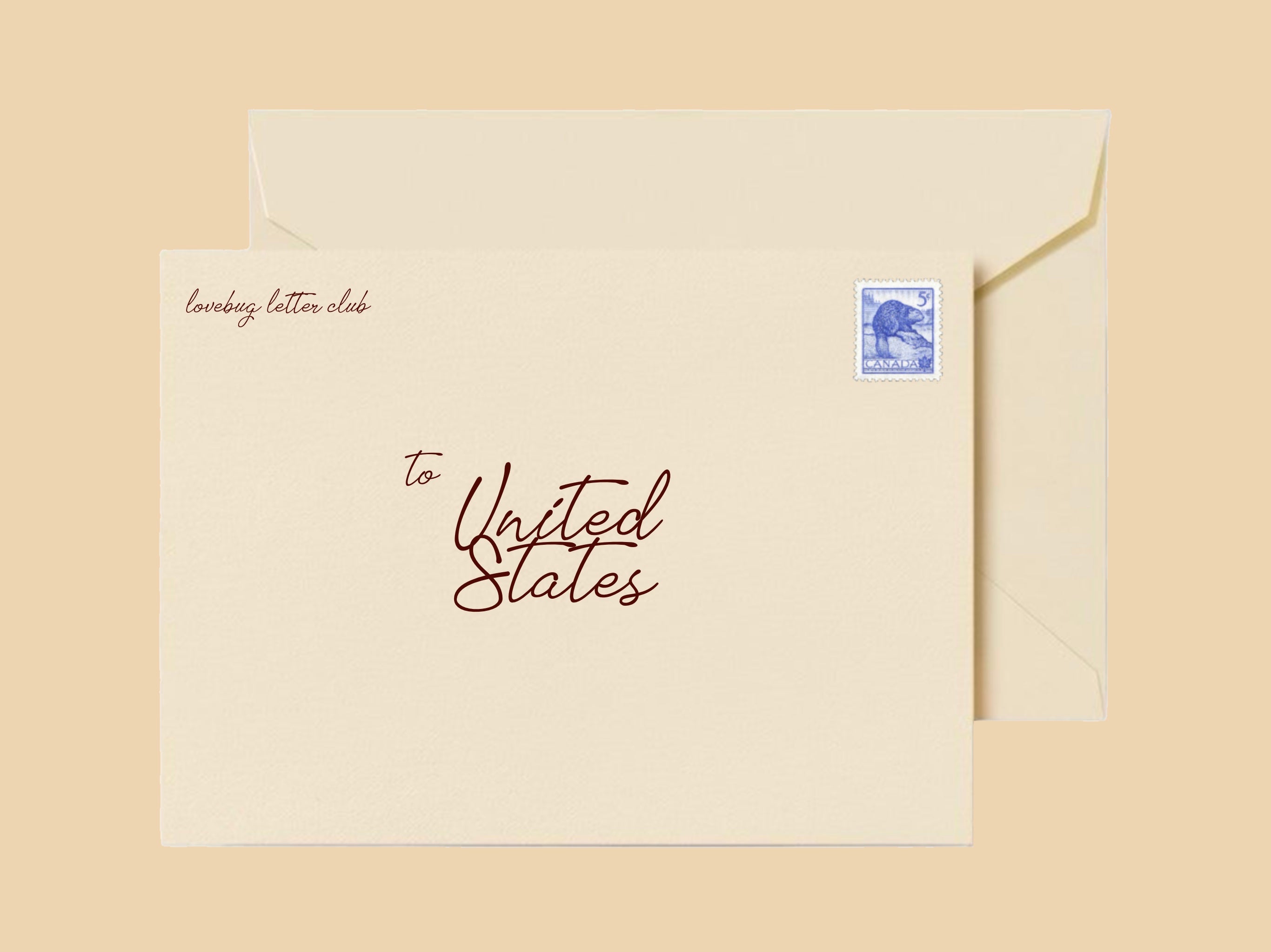 usa subscription